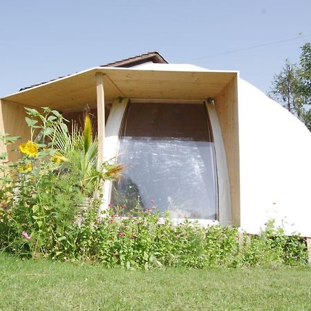 Rose-Marie'S Paradies Apartamento Aesch Exterior foto