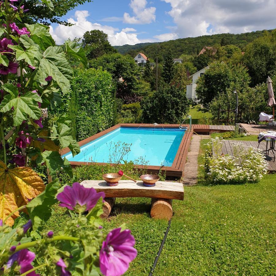 Rose-Marie'S Paradies Apartamento Aesch Exterior foto
