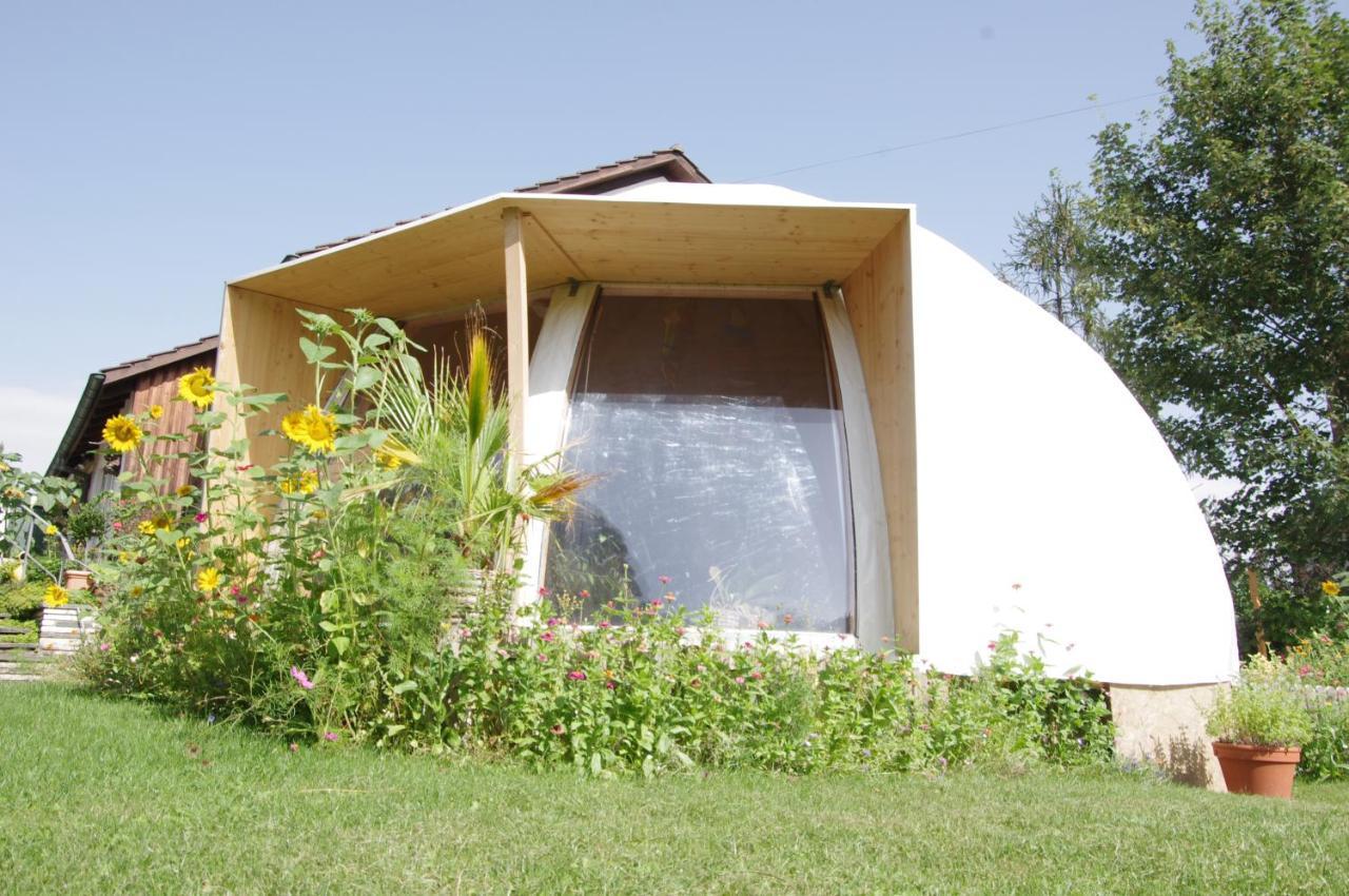 Rose-Marie'S Paradies Apartamento Aesch Exterior foto